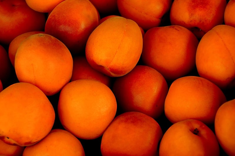 Fruitful Bounty